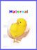 maternal programa completo