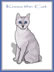 kissa the cat