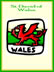 st david of wales