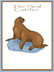 the seal catcher