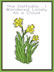 the daffodils &ndash; I wandered lonely as a cloud