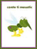 conte ti moustic