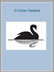 o cisne vaidoso