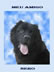 pet album