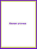 audio book