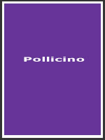 audio book
