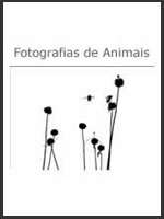 &aacute;lbum
