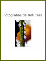 &aacute;lbum